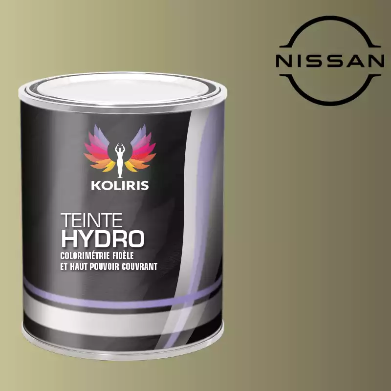 Peinture voiture hydro Nissan