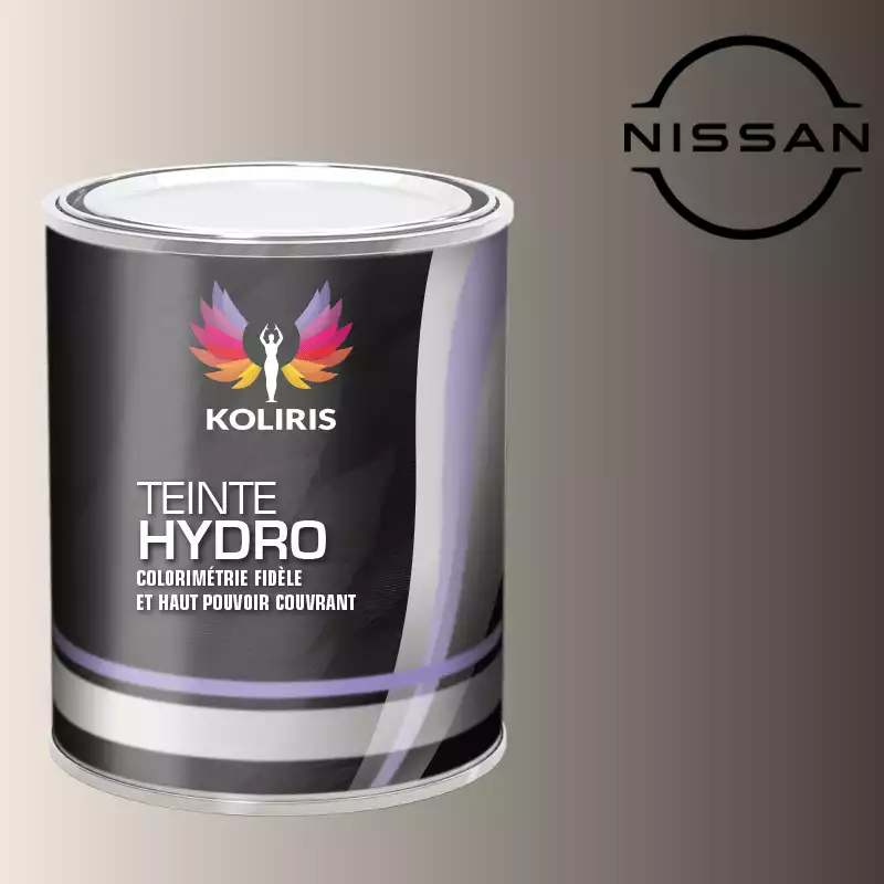 Peinture voiture hydro Nissan