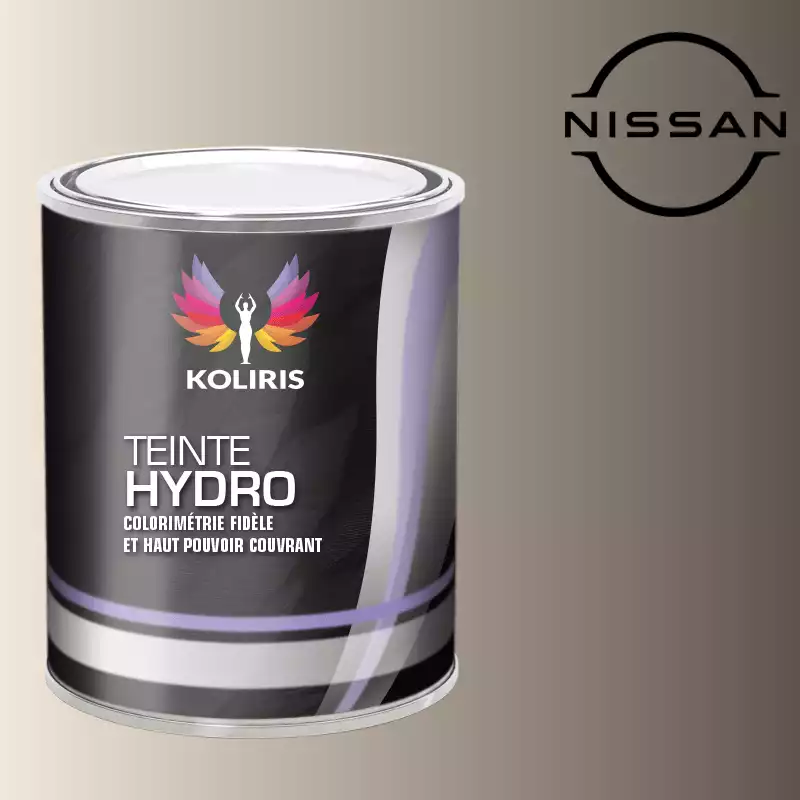 Peinture voiture hydro Nissan