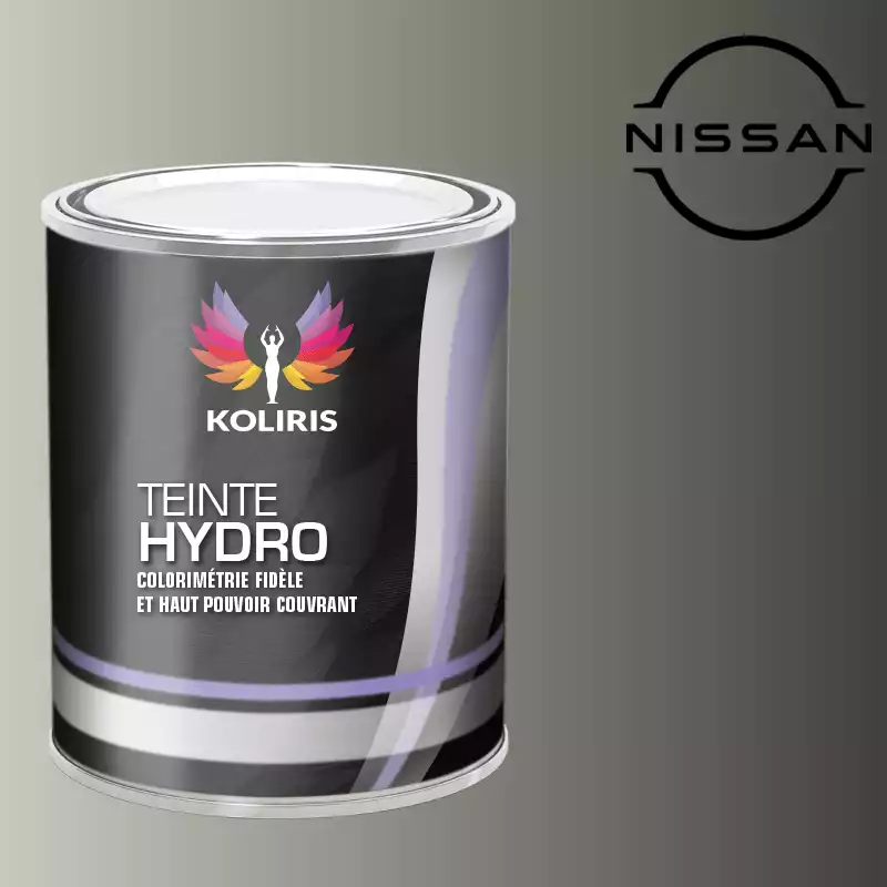 Peinture voiture hydro Nissan