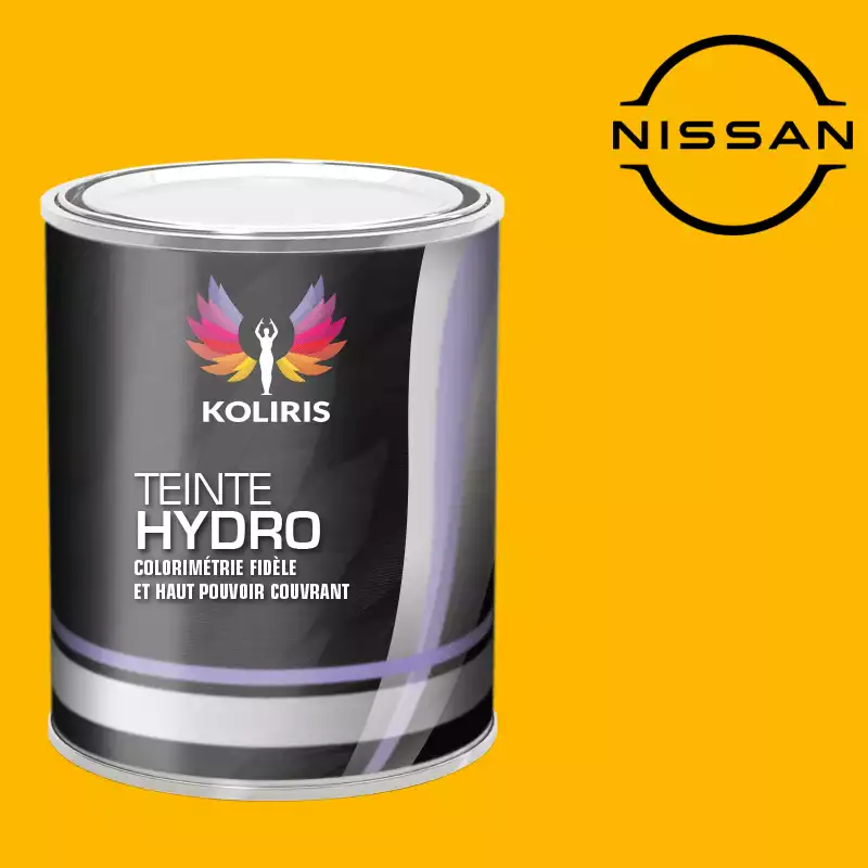 Peinture voiture hydro Nissan