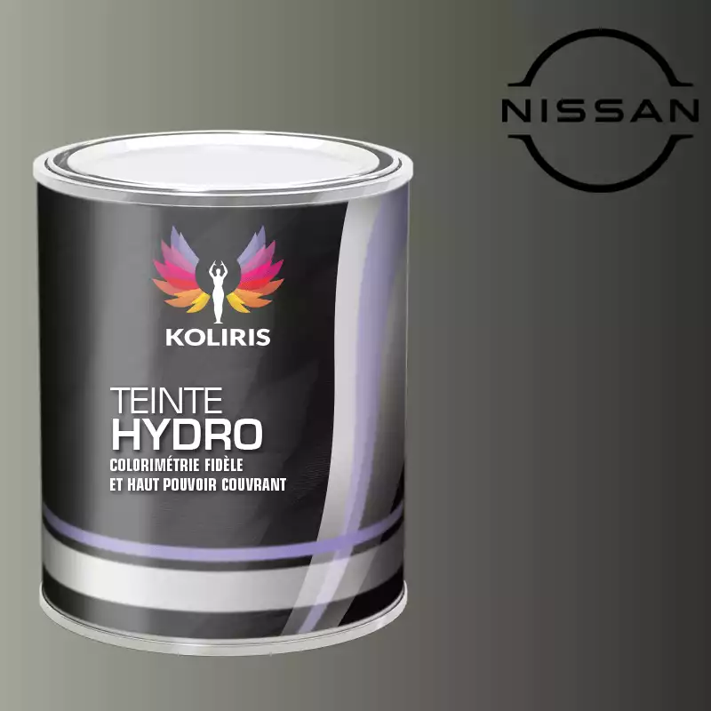 Peinture voiture hydro Nissan