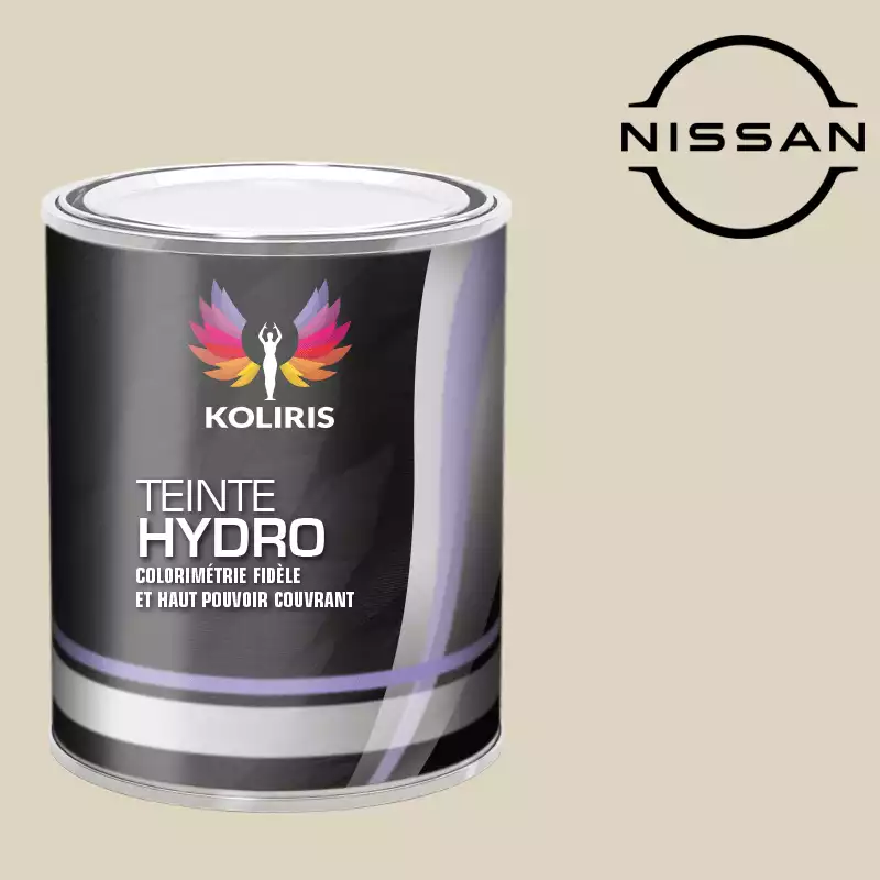 Peinture voiture hydro Nissan