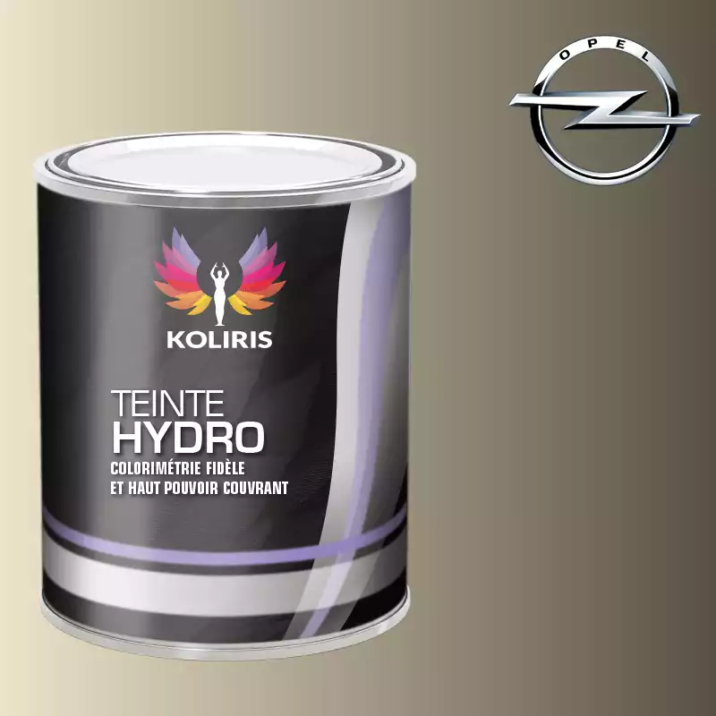 Peinture voiture hydro Opel