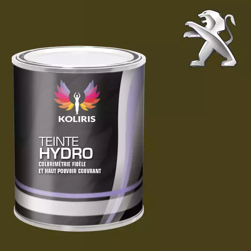 Peinture voiture hydro Peugeot