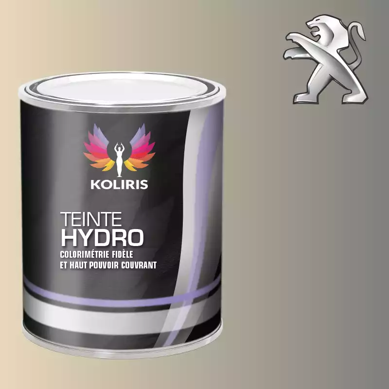 Peinture voiture hydro Peugeot