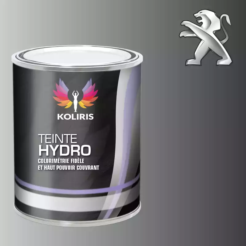 Peinture voiture hydro Peugeot