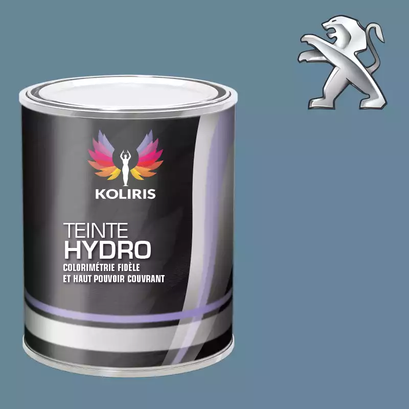 Peinture voiture hydro Peugeot