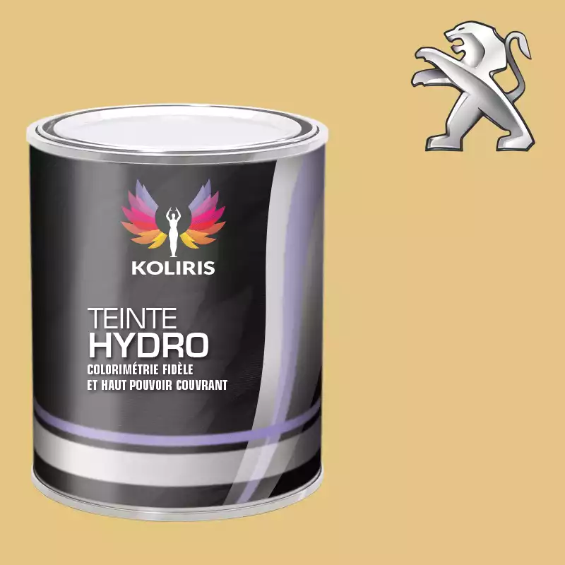 Peinture voiture hydro Peugeot