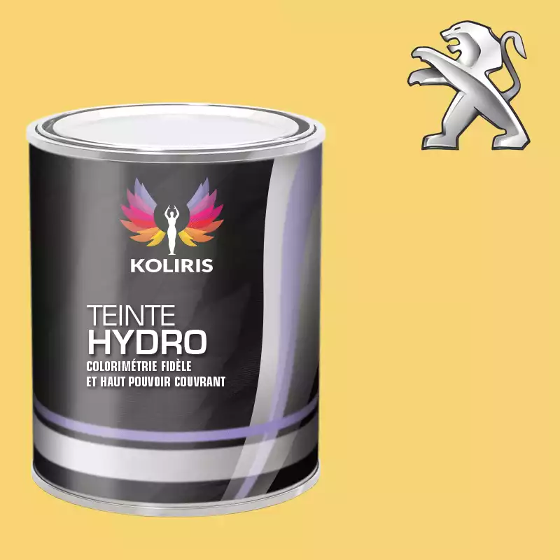 Peinture voiture hydro Peugeot