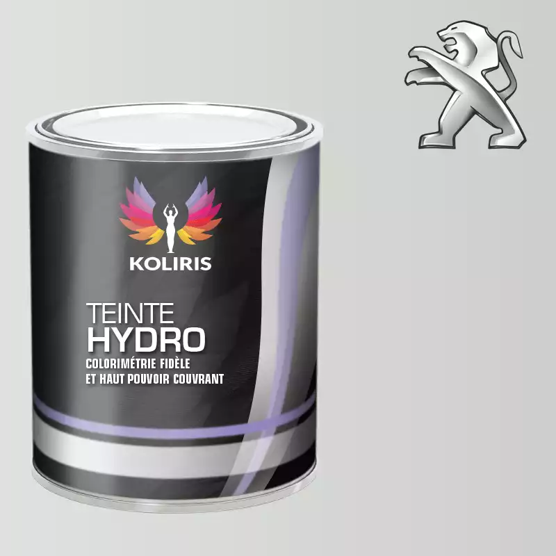 Peinture voiture hydro Peugeot