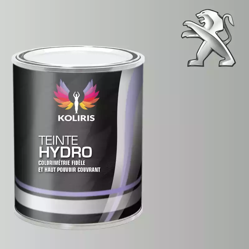 Peinture voiture hydro Peugeot