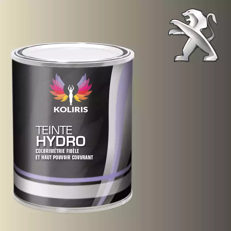 Peinture voiture hydro Peugeot