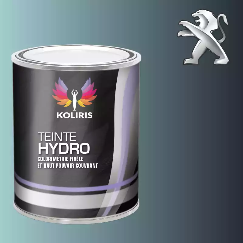 Peinture voiture hydro Peugeot