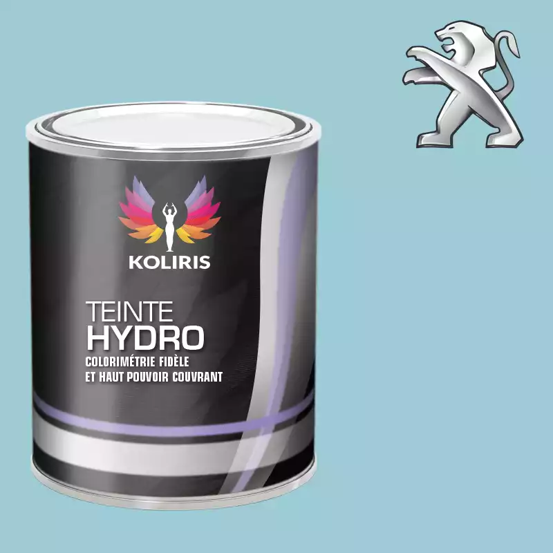 Peinture voiture hydro Peugeot