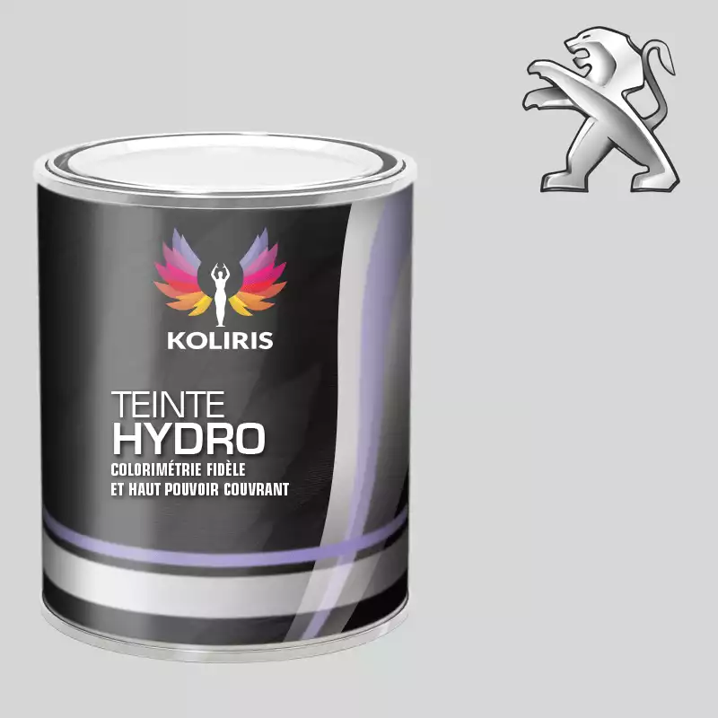 Peinture voiture hydro Peugeot