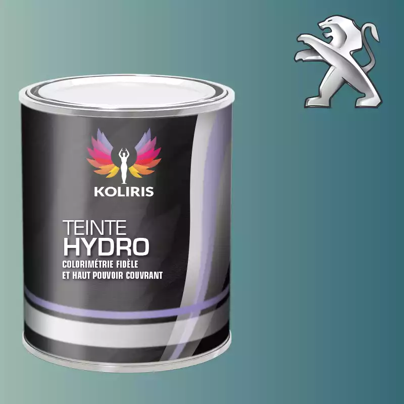 Peinture voiture hydro Peugeot