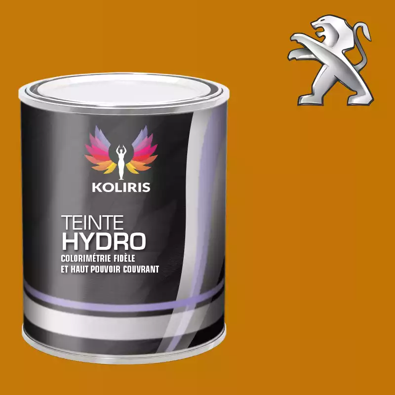 Peinture voiture hydro Peugeot