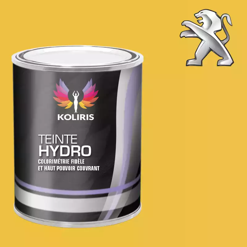 Peinture voiture hydro Peugeot