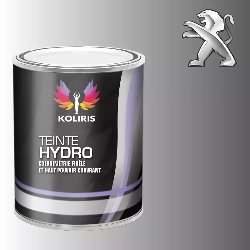 Peinture voiture hydro Peugeot