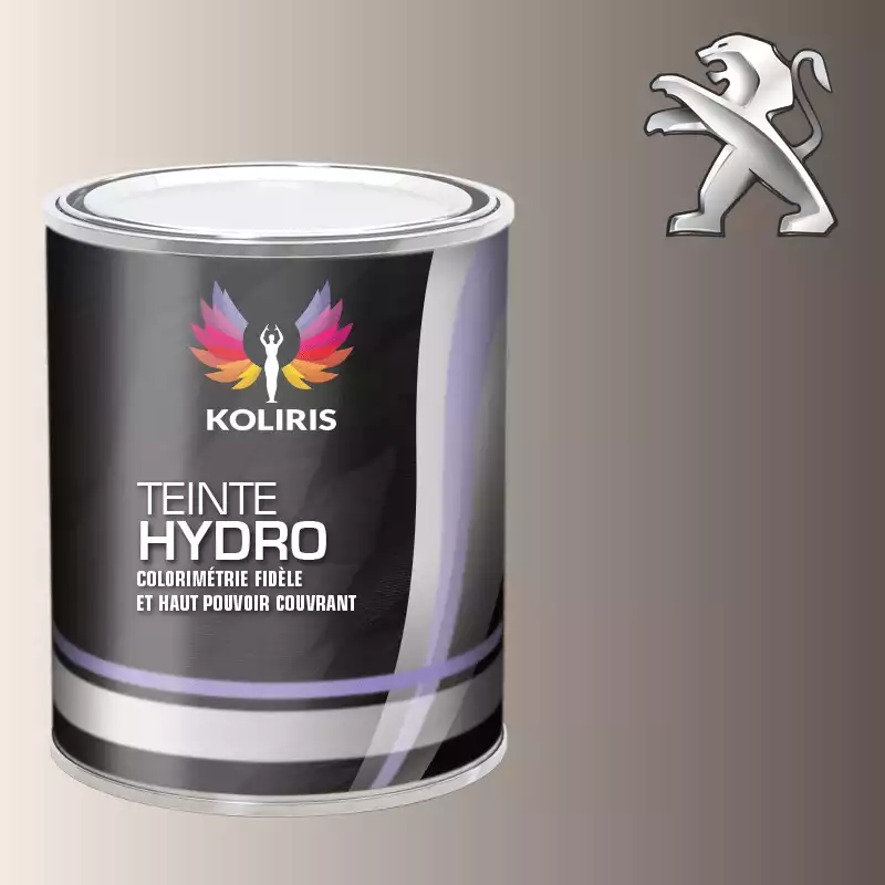 Peinture voiture hydro Peugeot