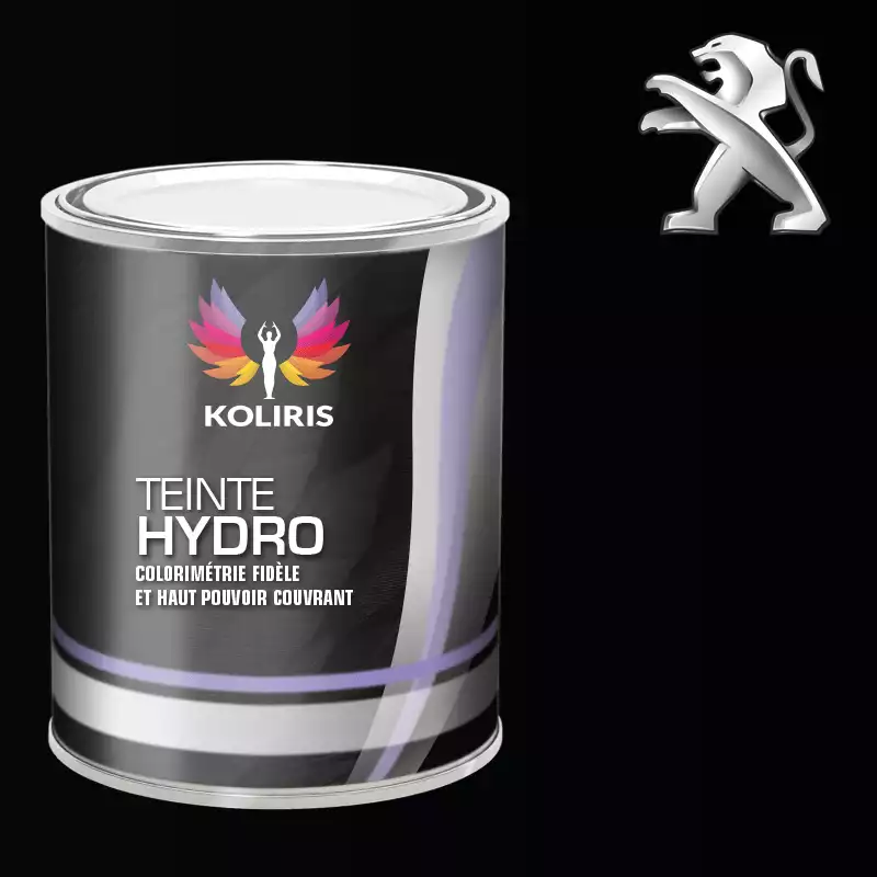 Peinture voiture hydro Peugeot