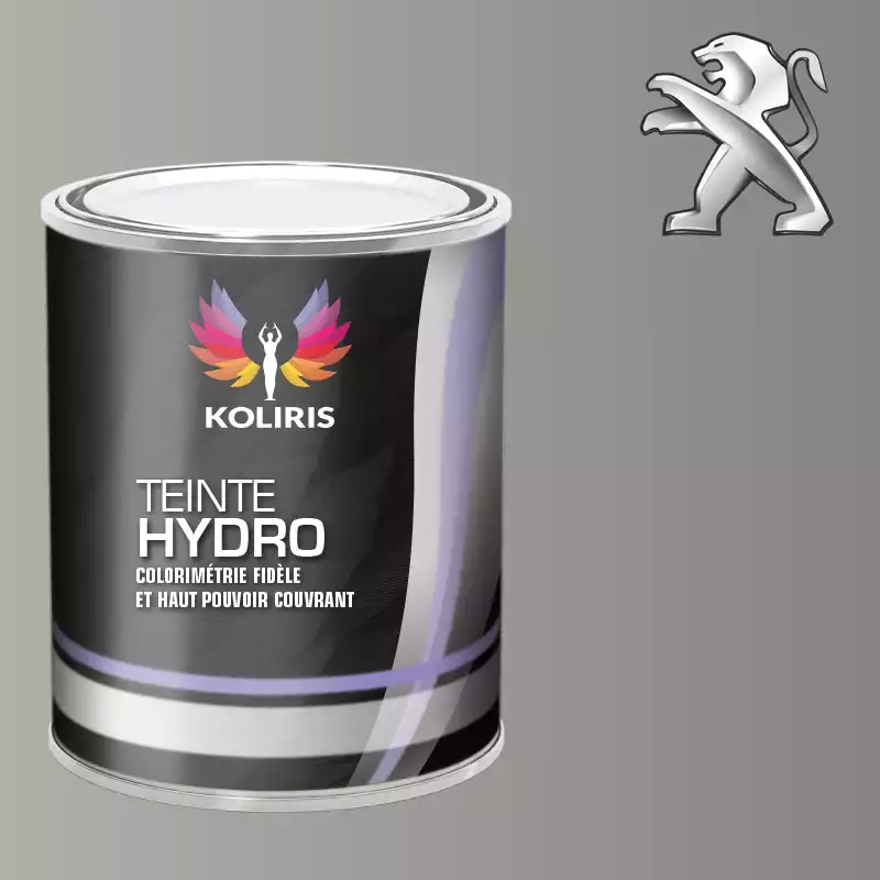 Peinture voiture hydro Peugeot