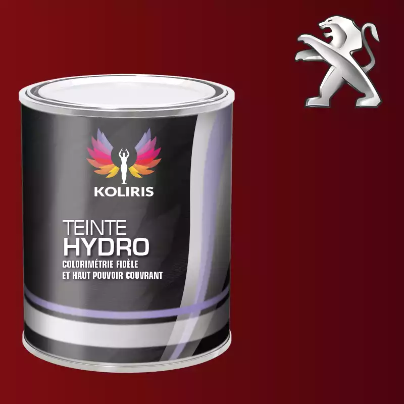 Peinture voiture hydro Peugeot