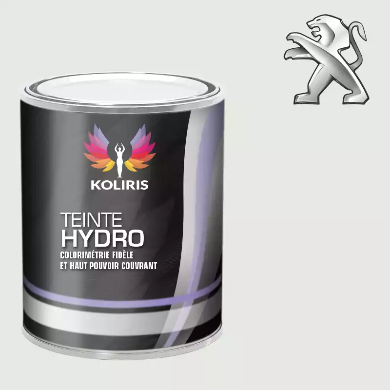 Peinture voiture hydro Peugeot