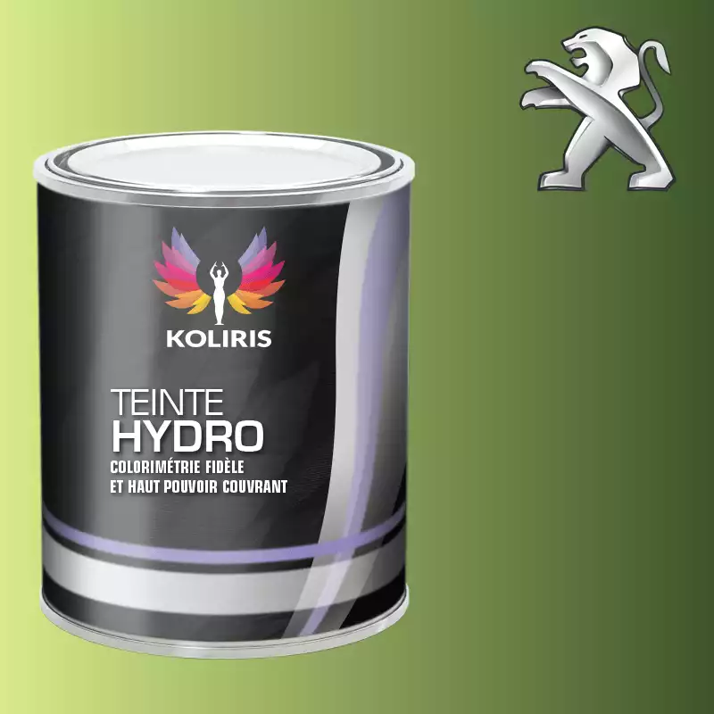 Peinture voiture hydro Peugeot