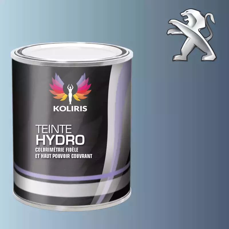 Peinture voiture hydro Peugeot