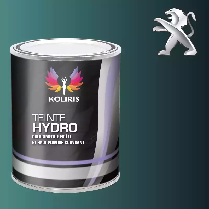 Peinture voiture hydro Peugeot