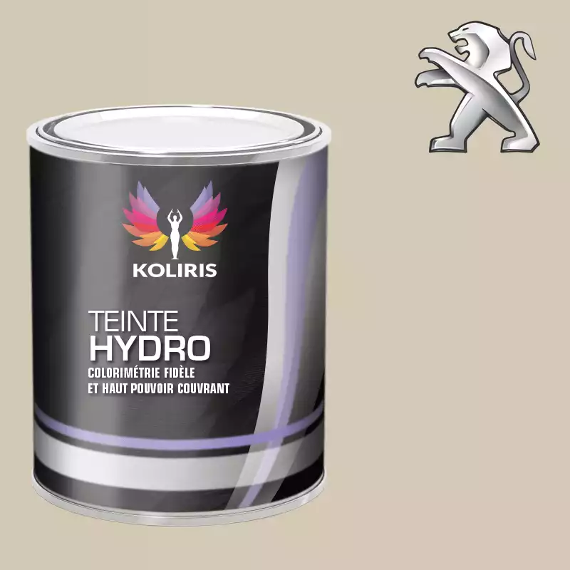 Peinture voiture hydro Peugeot