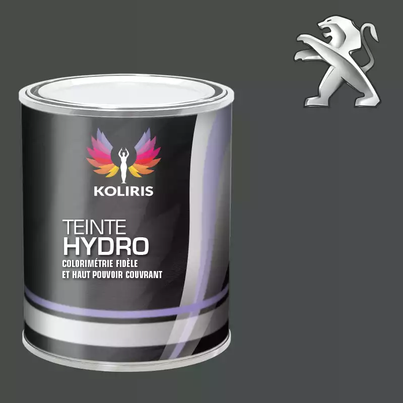 Peinture voiture hydro Peugeot