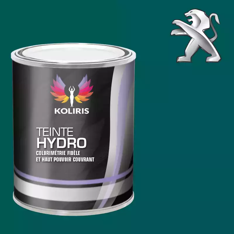 Peinture voiture hydro Peugeot