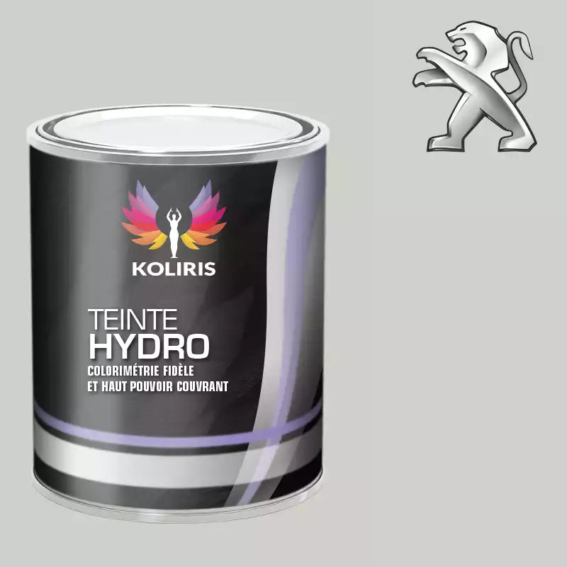 Peinture voiture hydro Peugeot