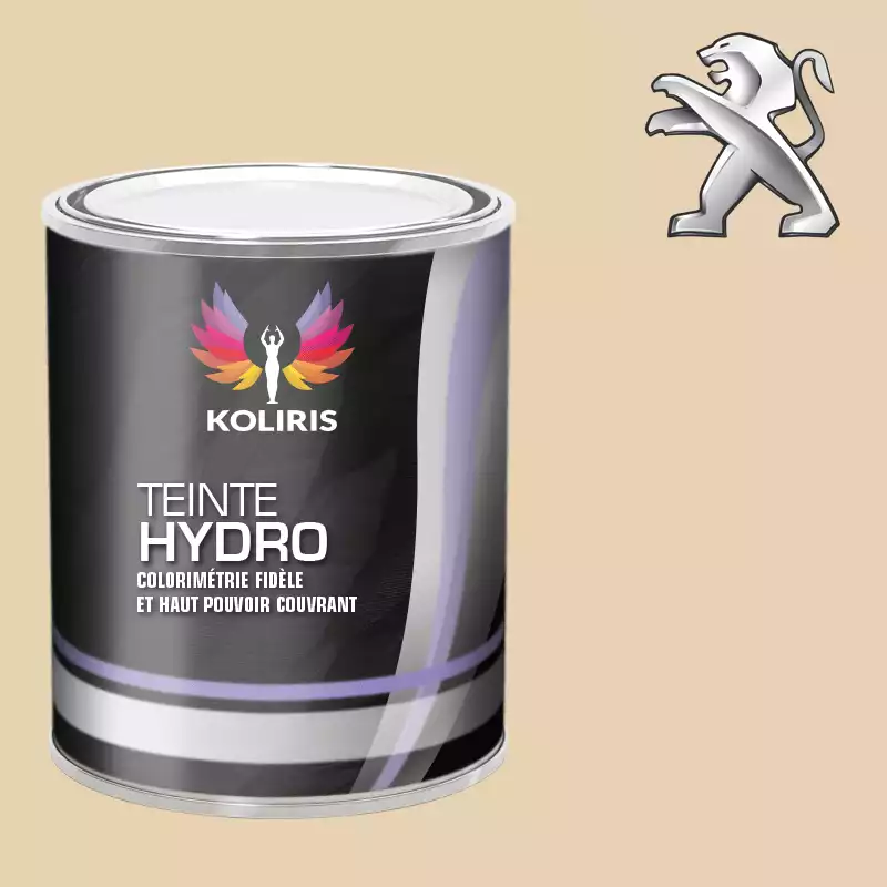 Peinture voiture hydro Peugeot