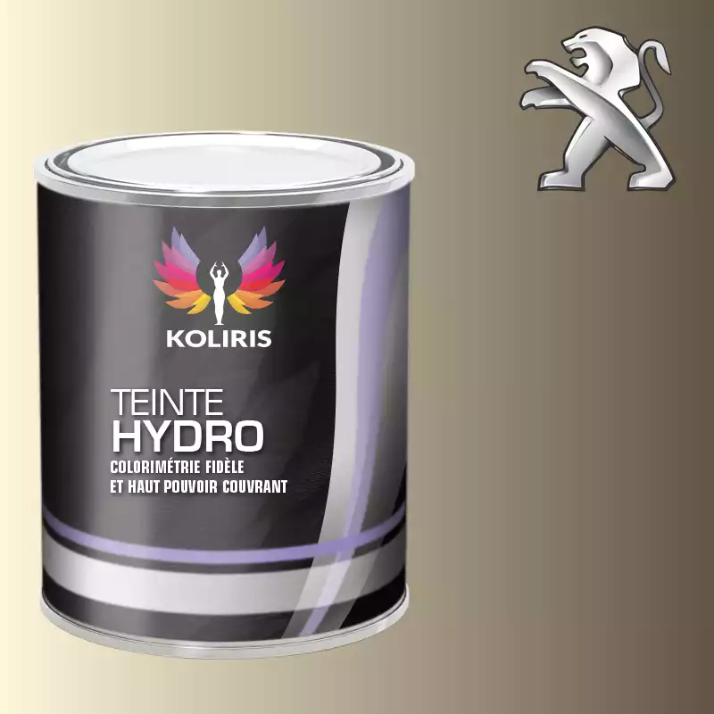 Peinture voiture hydro Peugeot