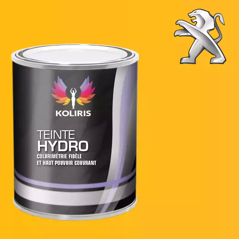 Peinture voiture hydro Peugeot