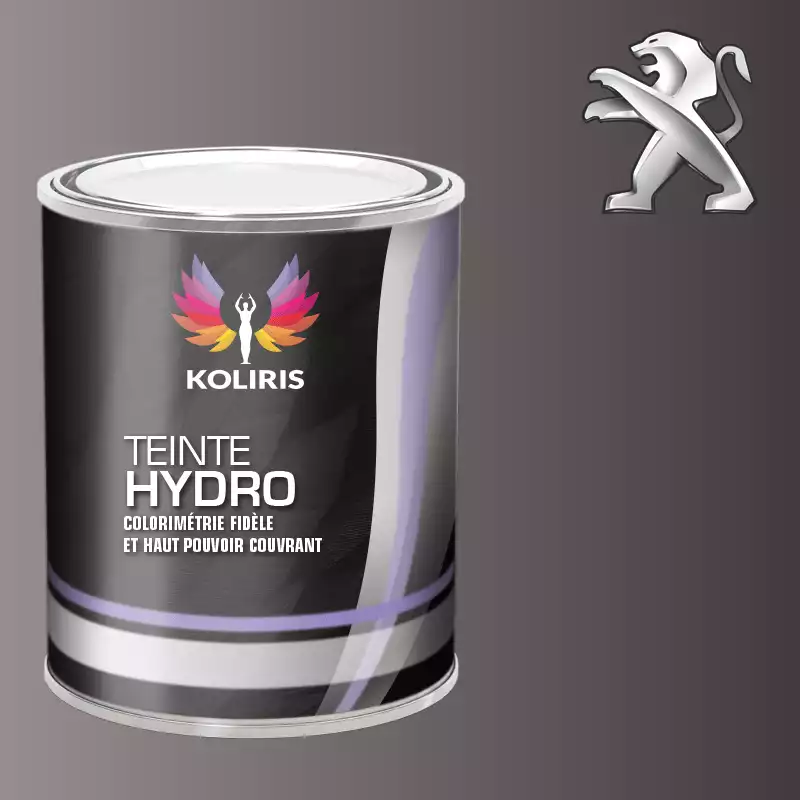 Peinture voiture hydro Peugeot