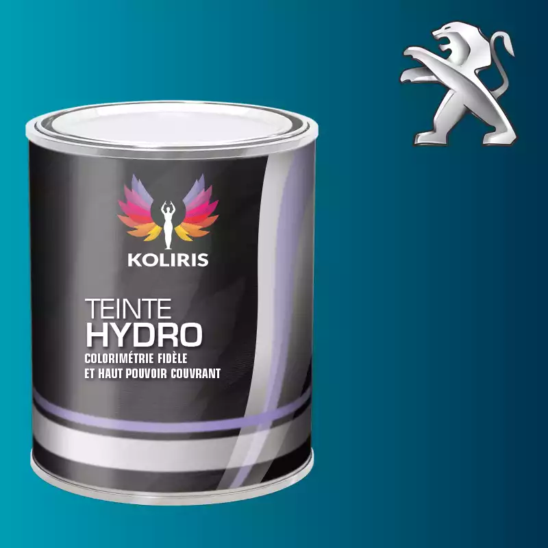 Peinture voiture hydro Peugeot