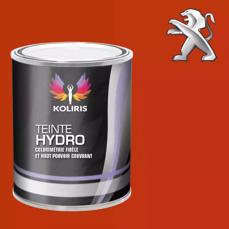 Peinture voiture hydro Peugeot