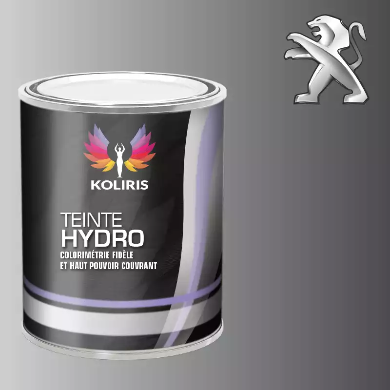 Peinture voiture hydro Peugeot