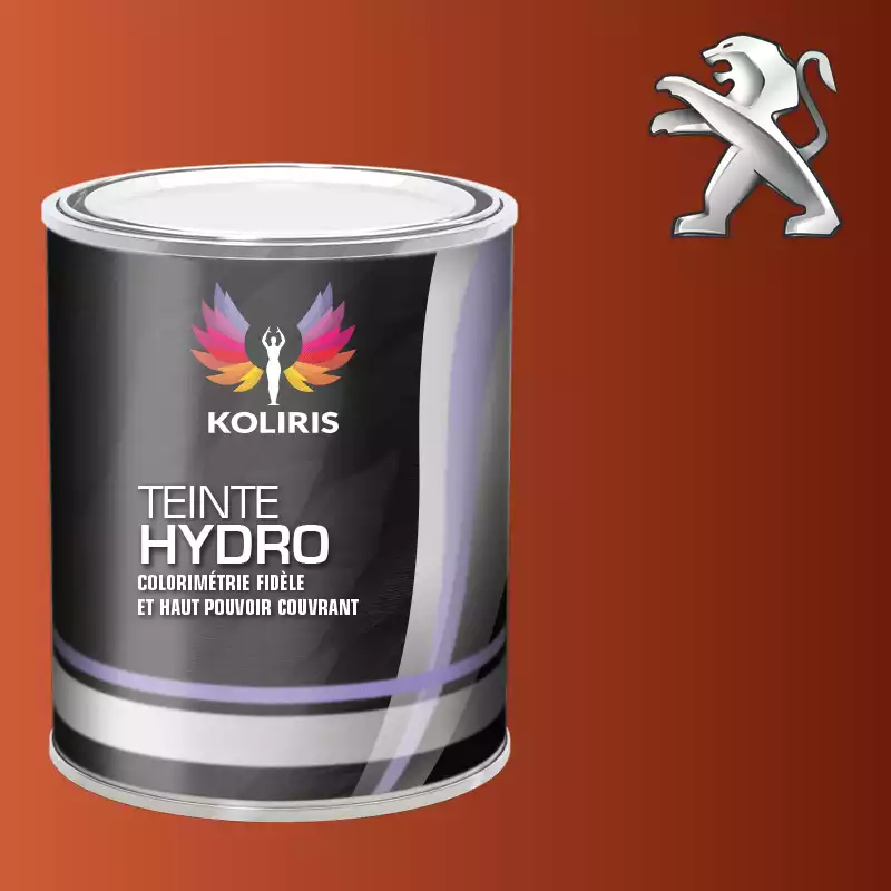 Peinture voiture hydro Peugeot