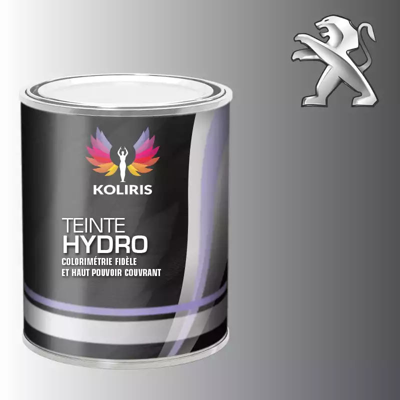 Peinture voiture hydro Peugeot