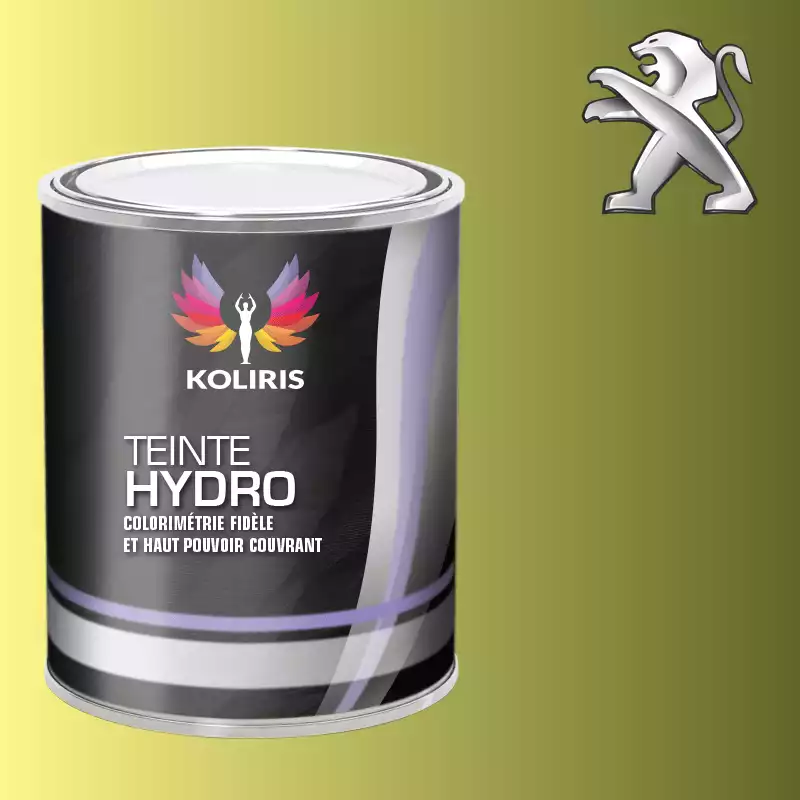 Peinture voiture hydro Peugeot