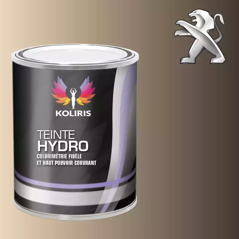 Peinture voiture hydro Peugeot