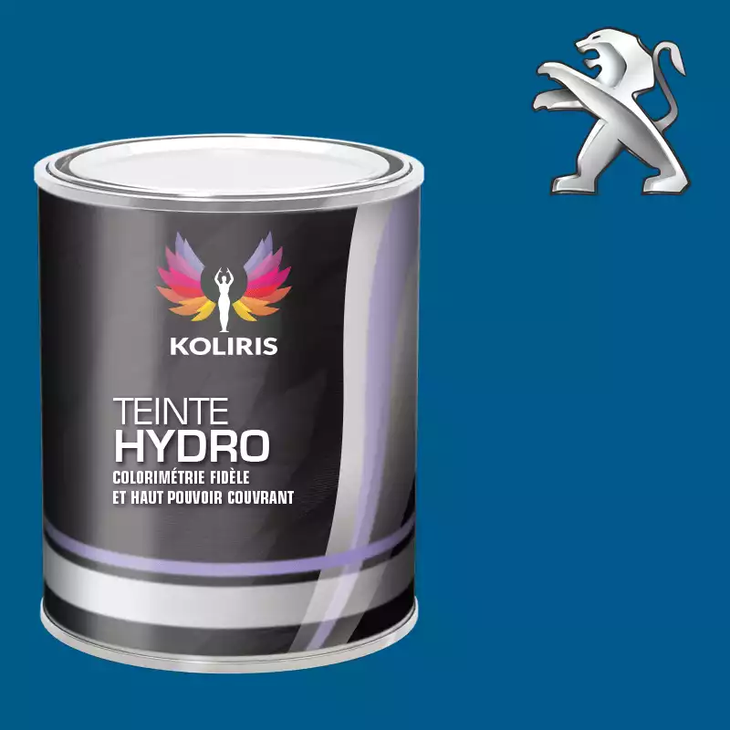 Peinture voiture hydro Peugeot