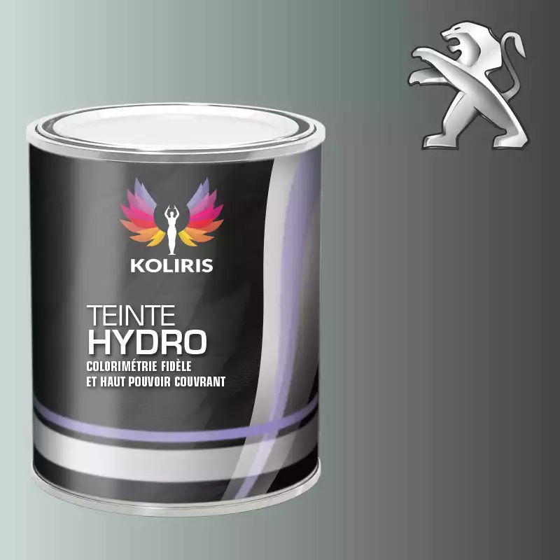 Peinture voiture hydro Peugeot