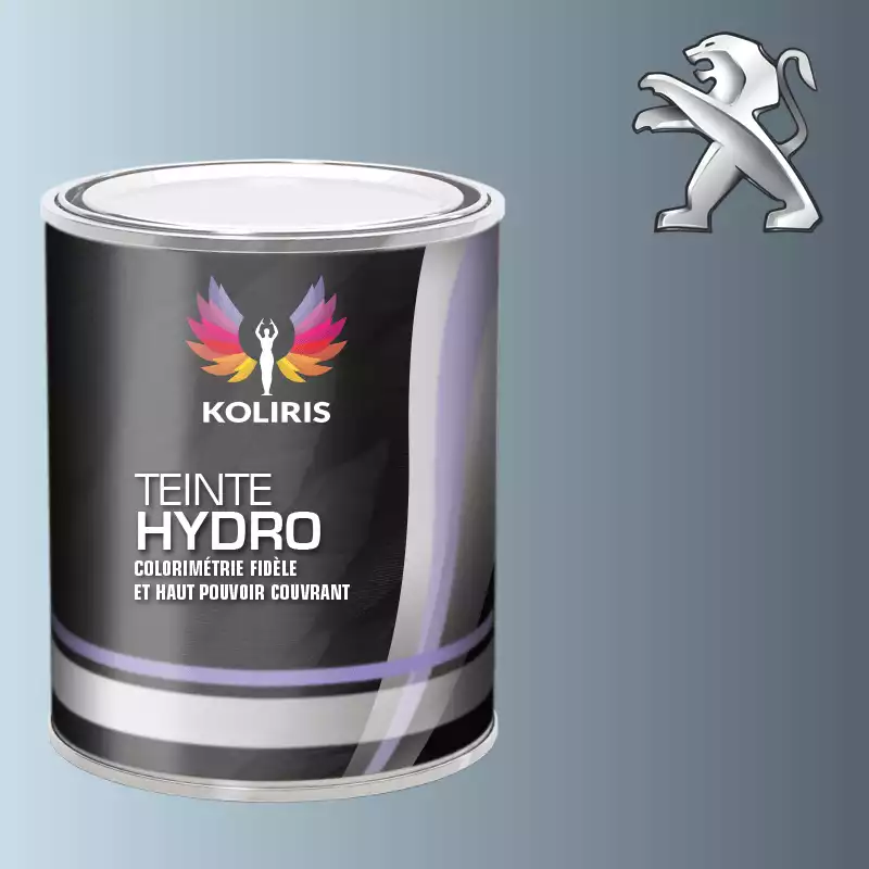 Peinture voiture hydro Peugeot